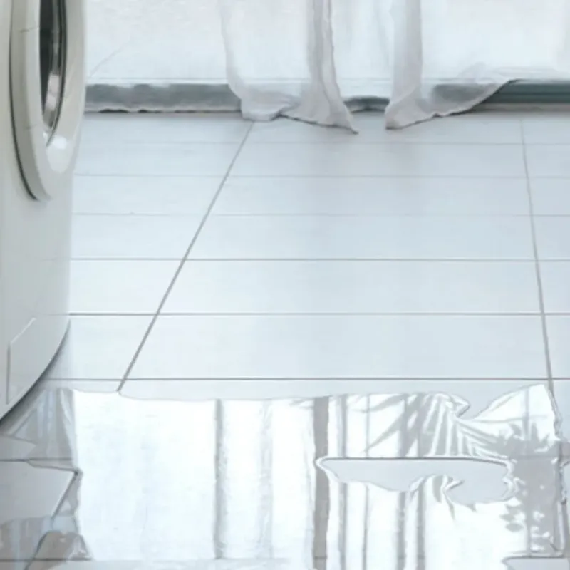 Appliance Leak Cleanup in Lake Arrowhead, ME