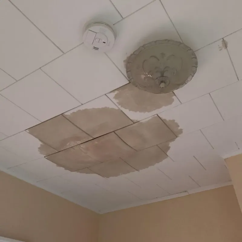 Ceiling Water Damage Repair in Lake Arrowhead, ME