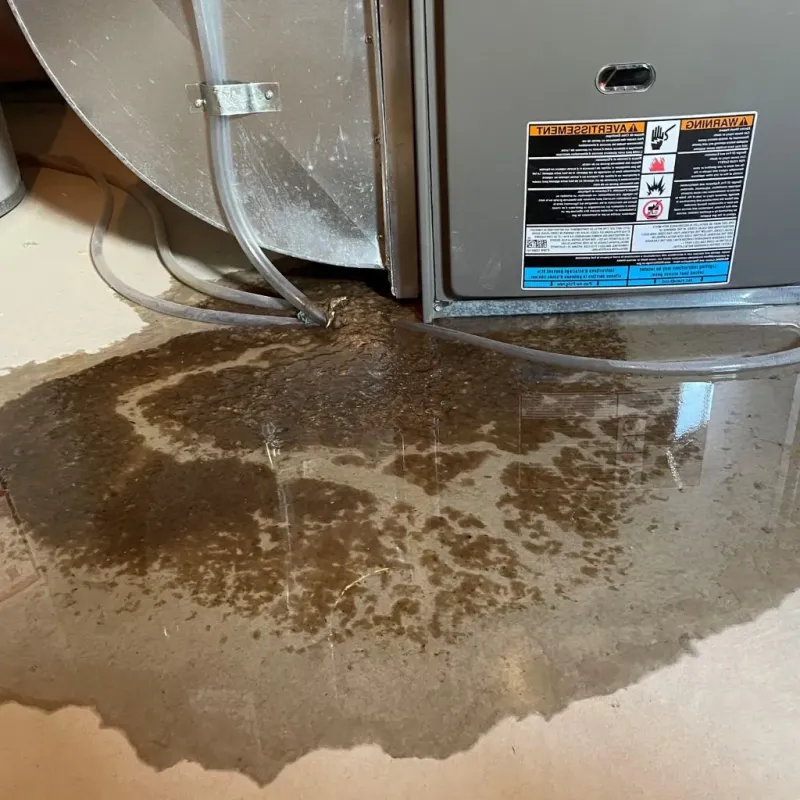 Pipe Burst and Leak Restoration in Lake Arrowhead, ME